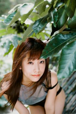 姥姥的饺子馆